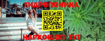 PSILOCYBIN Уссурийск